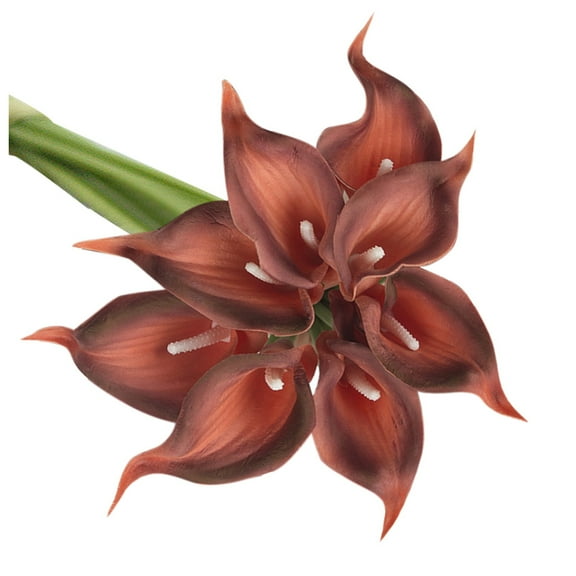 Sunxin Dark Brown Calla Lily Artificial Decorative Artificial Flower, Single Color 10Pc10Pc Artificial Flower Latex Real Bridal Wedding Bouquet Home Decoration