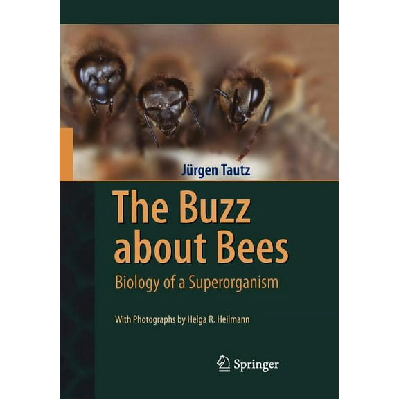 The Buzz about Bees: Biology of a Superorganism, (Hardcover)