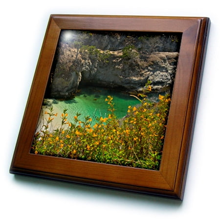 - 3dRose China Cove, Beach, Point Lobos State Reserve, Carmel, California, USA - Framed Tile, 6 by 6-inch