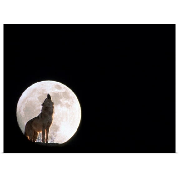 Great BIG Canvas | Rolled John Warden Poster Print entitled Wolf Howling With Full Moon