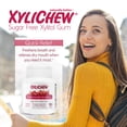 thumbnail image 3 of Xylichew KHFM00335507 Pomegranate & Raspberry No Sugar Gum - 60 Piece, 3 of 7