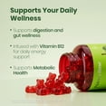 thumbnail image 2 of BFQN Odorless Aged Garlic Extract Softgels – 300 Softgels, Apple Cider Vinegar Gummies, 90 Gummies, 2 of 7
