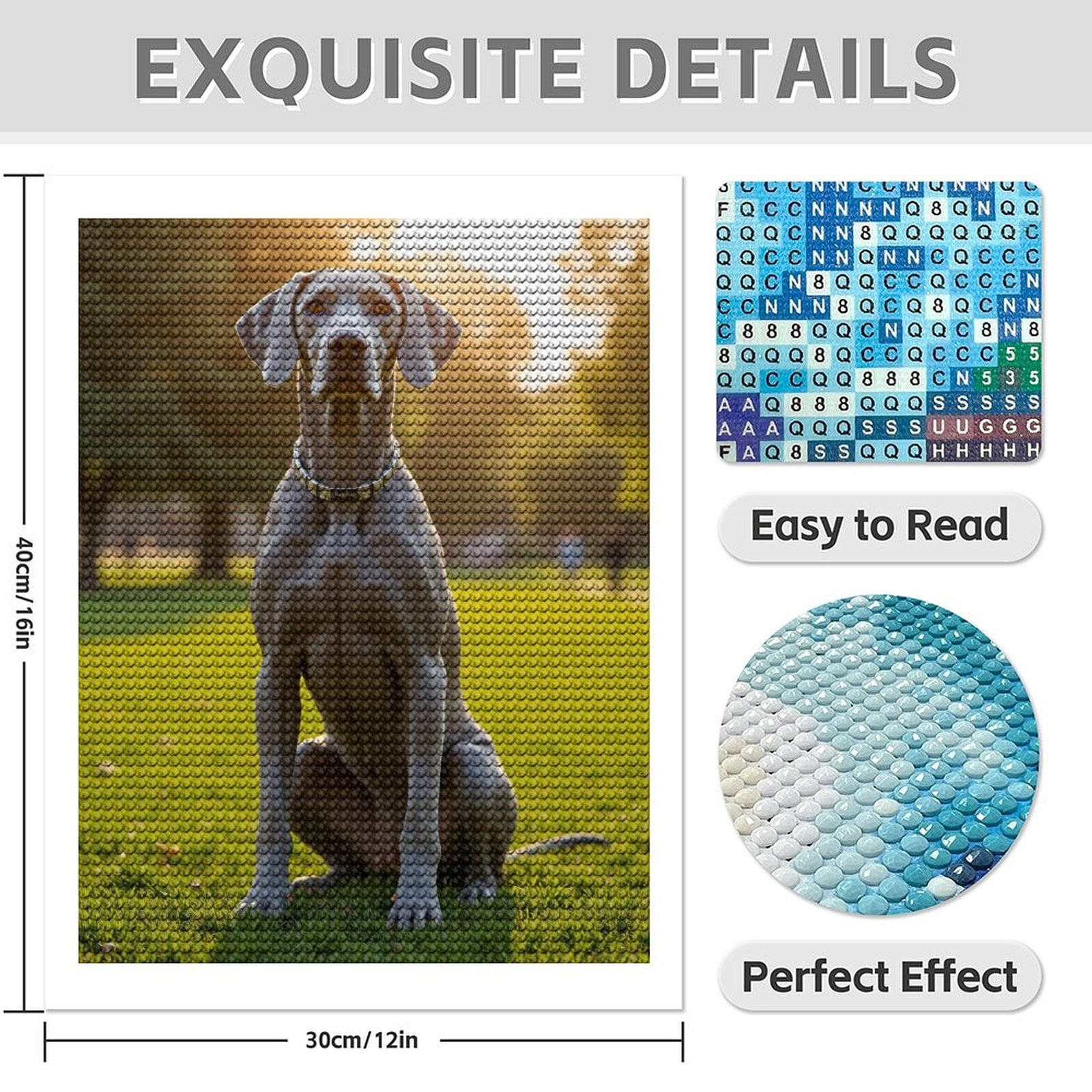 Diamond Art Kit for Adults, Graceful Dog Park Sunset Scene Diamond Painting for Adults Beginners, DIY Diamond Art Painting Kits, 5D Diamond Painting Crafts for Home Decor 12x16 Frameless