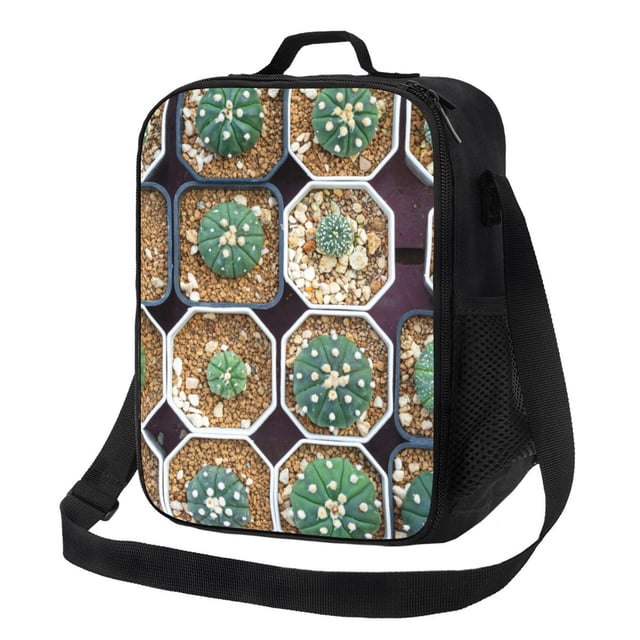 Balery Cactus Garden Caja de Almuerzo y Bolsa de Almuerzo para Hombres y Mujeres, Bolsa de Almuerzo Reutilizable con Gran Capacidad, Bolsa de Almuerzo Aislada