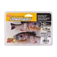 thumbnail image 4 of Berkley PowerBait® Gilly Soft Bait - HD Bluegill, 4 of 4
