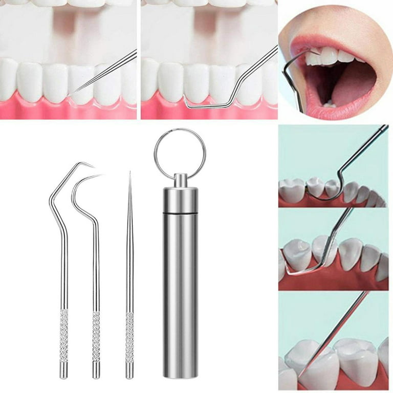 3 Pcs Stainless-Steel Toothpicks Reusable Floss Tooth Picks Scraper Dental  Tools for Teeth Cleaning Steel Dental Pick Kit 