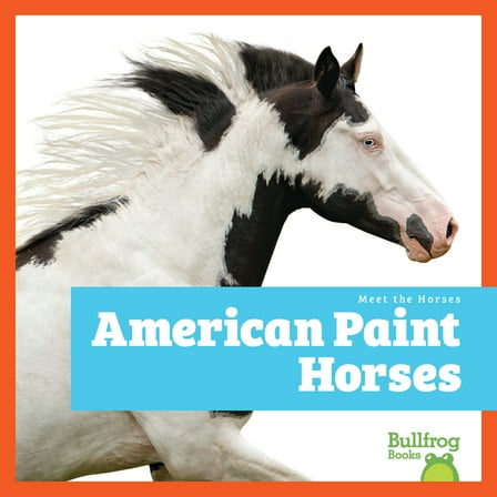 Meet the Horses American Paint Horses, (Hardcover)