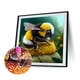 thumbnail image 2 of Cuadros Decorativos 5D bricolaje taladro redondo completo diamante pintura Animal Kit decoración del hogar artesanía (g) DQrwqpou Nuevos Originales, 2 of 9