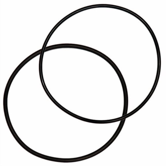 OMNIFilter Assorted in. Dia. Rubber O-Ring 2 pk
