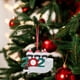 thumbnail image 5 of onlyliua Ofertas Del Día de Hoy Adorno de Familia Sobreviviente Personalizado con Arte de Hierro, Decoración Navideña de 2020, 5 of 5