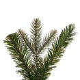 thumbnail image 4 of Vickerman K224446 48 in. Douglas Fir 258 Tips Teardrop, Green, 4 of 4
