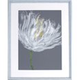 thumbnail image 1 of Gray & White Flower Design Framed Abstract Art, 1 of 1