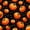 Black Orange, variant on Homewish Halloween Floral Ghost Bedding,Wild Autumn Flower Pattern Duvet Cover Full,Black Cream Orange,Black Reversible,3-Piece,1 Duvet Cover and 2 Pillowcases