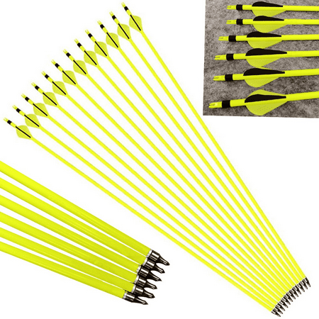 Carbon Archery Arrows 500 Spine 100gr Removable Tips 2 Rubber Vanes