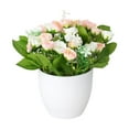 thumbnail image 1 of GreenHome In Real For Home Desk Centerpiece Arrangement Crafted from Polyester for Home and Tabletop Display, 1 of 5