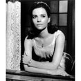 thumbnail image 1 of Everett Collection EVCMBDWESIEC039H West Side Story Natalie Wood 1961 Photo Print, 8 x 10, 1 of 1