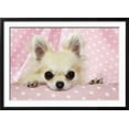 thumbnail image 2 of Chihuahua Dog, Animals Framed Art Print Wall Art Sold by Art.Com, 2 of 6
