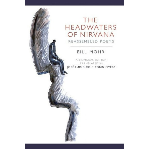 The Headwaters of Nirvana (Paperback)