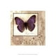 Posterazzi OWP77159D Notes de Papillon I Affiche par Beth Anne Creative -13.00 x 19.00 – image 1 sur 1