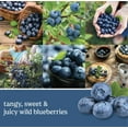 thumbnail image 2 of Yankee Candle New England Blueberry Large Original  Classic Jar Candle, 2 of 3