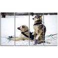 thumbnail image 2 of Large Sled Dogs Relaxing - Oversized Animal Wall Art, 2 of 3