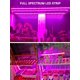 thumbnail image 3 of 1pc Plant Growth Lamp Strip, 3 of 5