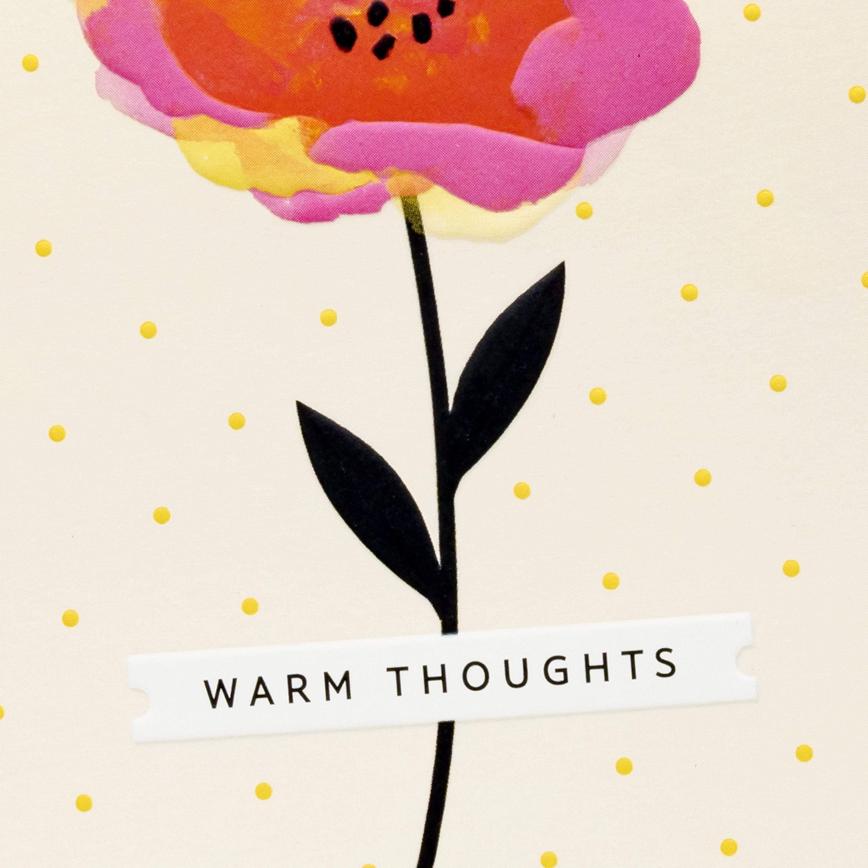 Hallmark Blank Notes (Warm Thoughts Floral), Pack of 10