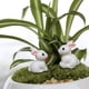 thumbnail image 3 of Naiovety 10 Uds miniatura jardín de hadas conejos blancos Mini decoración accesorios resina jardinería adornos Decoración del hogar, 3 of 6