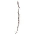 thumbnail image 1 of Vickerman H2CIP900-2 36-40 Po. Gris Blanc Cipo Escada, 1 of 1