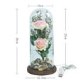 thumbnail image 2 of Rosas de cúpula de cristal brillante-regalo de vacaciones para mujeres Vhermosa CPB-YL641-1, 2 of 5