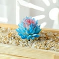 thumbnail image 2 of Mini Artificial Succulents, 1 Pc Faux Succulents, Realistic Fake Succulents, Artificial Hanging Ornaments Fleshed Plant Textured for Home Garden Wedding Party Spring Decoration, Blue, 2 of 6