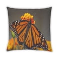 thumbnail image 2 of Ahgly Company Coussin d'Intérieur Papillon Insectes, 18 Pouces par 18 Pouces, 2 of 6