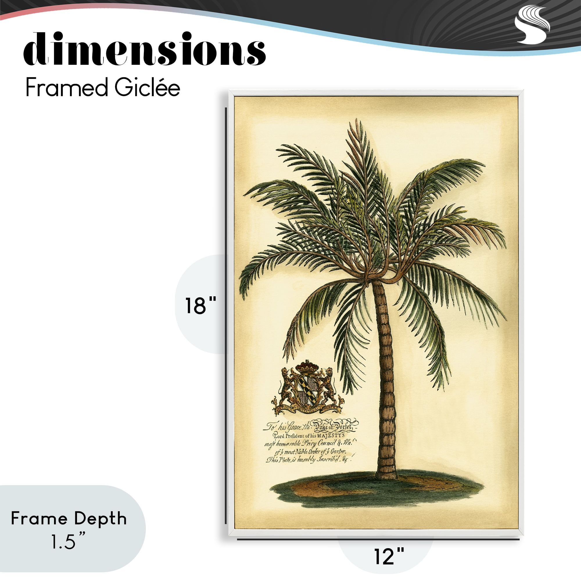 Stupell Industries British Colonial Palm White Framed Giclee Art, design by Vision Studio