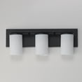 thumbnail image 3 of Lateral 3 - Light Satin Nickel/Silver Transitional Incandescent Glass And Steel Wall Sconce, 3 of 7