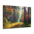 thumbnail image 5 of Autumn Forest Sunlight Shine Orange Tree Nature Wilderness Photography Canvas Wall Art for Home Decor Ready-to-Hang, 5 of 18