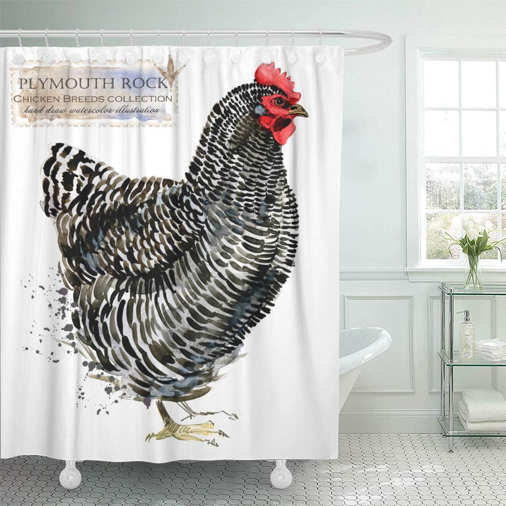 Plymouth Shower Curtain 
