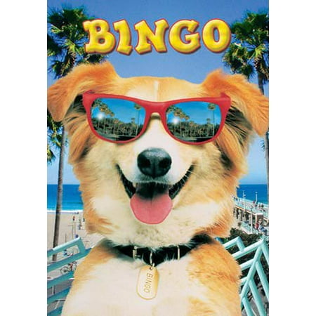 Life Picture Bingo - Bingo