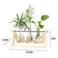 thumbnail image 3 of Yonrjhukm Plant Terrarium with Wooden Stand, Planter Bulb Glass Vase Metal Swivel Retro Tabletop for Hydroponics Home Garden Office Decoration, 3 Bulb Vase, 3 of 8