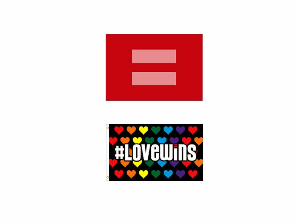 3x5 Wholesale Combo Marriage Equality Love Wins #LOVEWINS Set 2 Flags Flag 3'x5' 