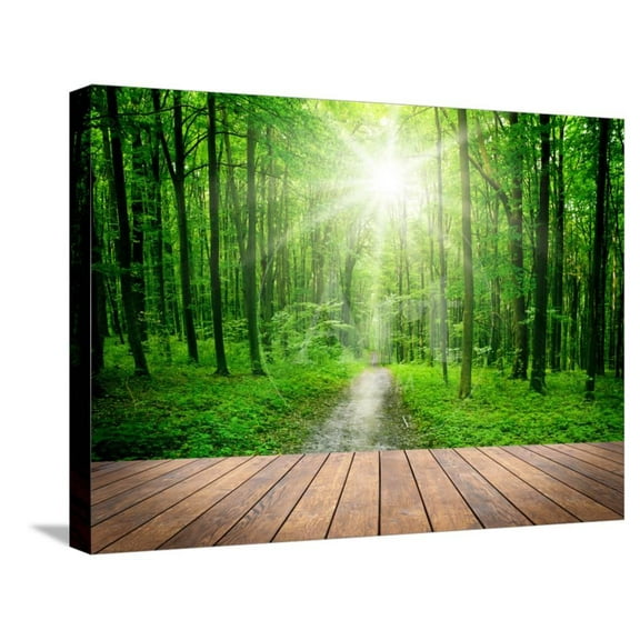 Wood Textured Backgrounds in a Room Interior on the Forest Backgrounds, Stretched Canvas Wall Art by Kalina Vova Sold by Art.Com