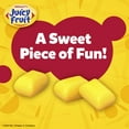 thumbnail image 3 of Juicy Fruit Original Bubble Gum - 40 Piece Bottle, 3 of 10