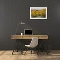 thumbnail image 3 of Grall, Don 24x17 White Modern Wood Framed Museum Art Print Titled - CO, San Juan NF Autumn aspen trees and road, 3 of 4