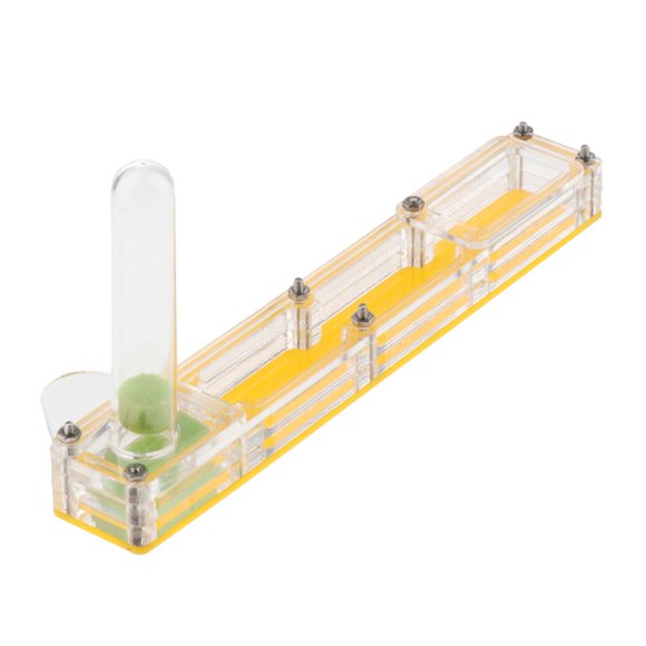 Caja de alimentación de acrílico, nidos de avión de formicario, caja de alimentación, Amarillo