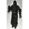 Rubie's Adult Ringwraith Costume - One Size Fits Most