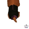 thumbnail image 3 of Barkertime Black Waterproof Premium Dog Diaper - Made in USA, 3 of 10