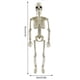 thumbnail image 2 of Figura de esqueleto modelo de Halloween, favores de fiesta al aire libre realistas de 16/24 pulgadas, 2 of 9