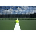 Wilson Titanium All Court Tennis Balls, 3 Ball Can