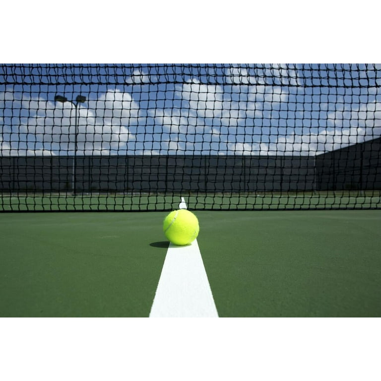 Wilson Titanium All Court Tennis Balls, 3 Ball Can - Walmart.com