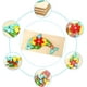 thumbnail image 3 of Rompecabezas de madera para niños pequeños de 3 años - Juguete Montessori para niños de 3 años en adelante - Juguete educativo de madera - Regalo para niños y niñas de 3 años, 3 of 5