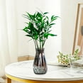 thumbnail image 4 of Hydroponic Plant Vase, Glass Look Self Watering Planter for Pothos and Lucky Bamboo, Faceted Shatterproof Desktop Flower Pot, Gray, 4 of 6